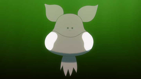 2433020a.jpg
